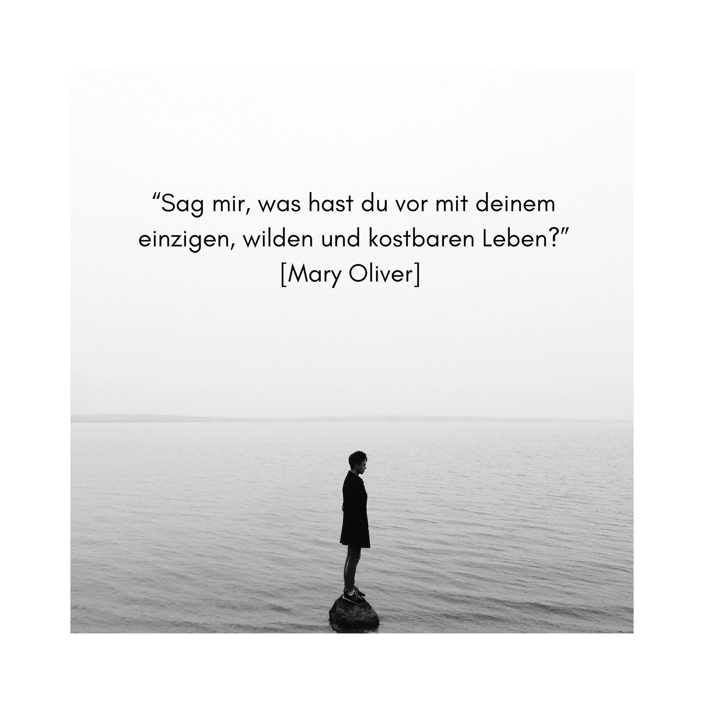 Susanne Zeidler - Sag mir, was hast du vor mit deinem einzigen, wilden, kostbaren Leben
